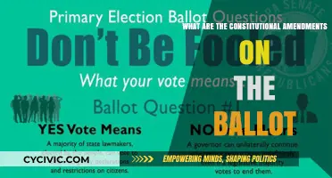Amendments on the Ballot: Understanding Your Vote