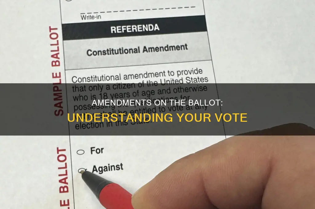 what are the constitutional amendments on the ballot