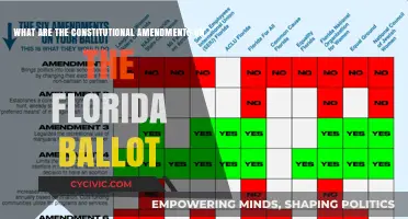 Florida Ballot: Understanding the Constitutional Amendments