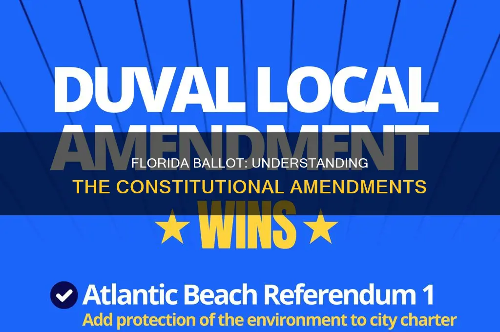 what are the constitutional amendments on the florida ballot