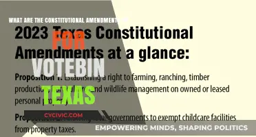 Texas Constitutional Amendments: What's Up for Vote?