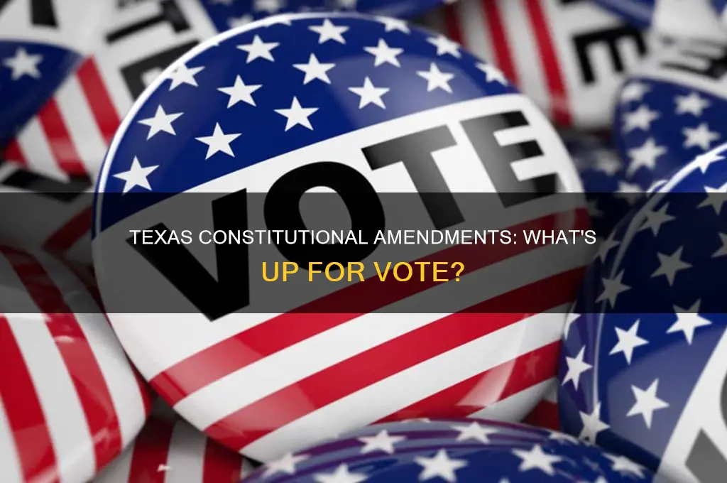 what are the constitutional amendments up for votebin texas