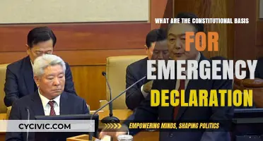 Emergency Powers: Constitutional Basis and Limits