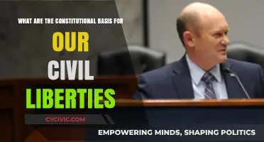 Civil Liberties: Constitutional Foundations for Our Freedoms