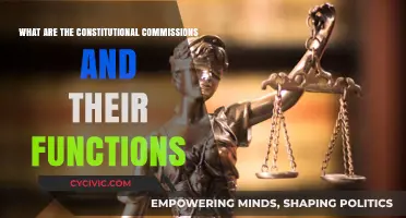 Constitutional Commissions: Their Roles and Relevance