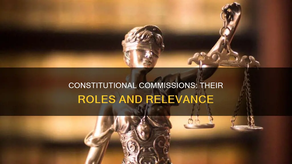 what are the constitutional commissions and their functions