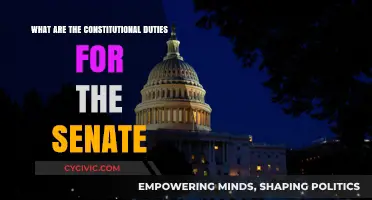 Senate Constitutional Duties: Understanding the Responsibilities