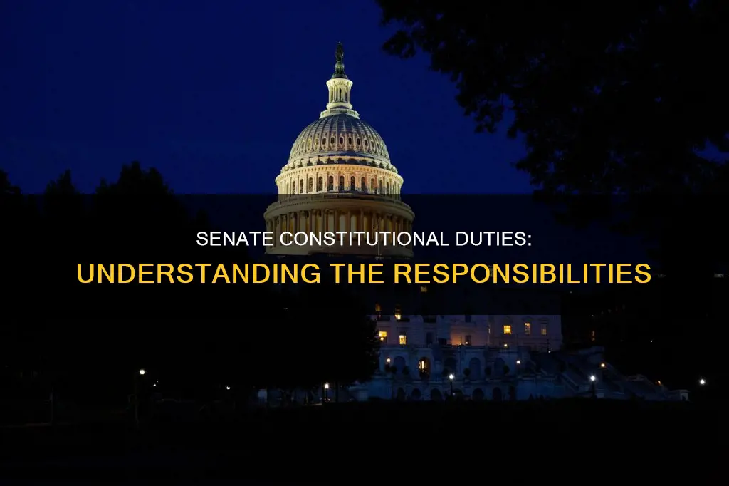 what are the constitutional duties for the senate
