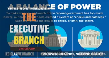 Executive Branch: Constitutional Duties and Responsibilities