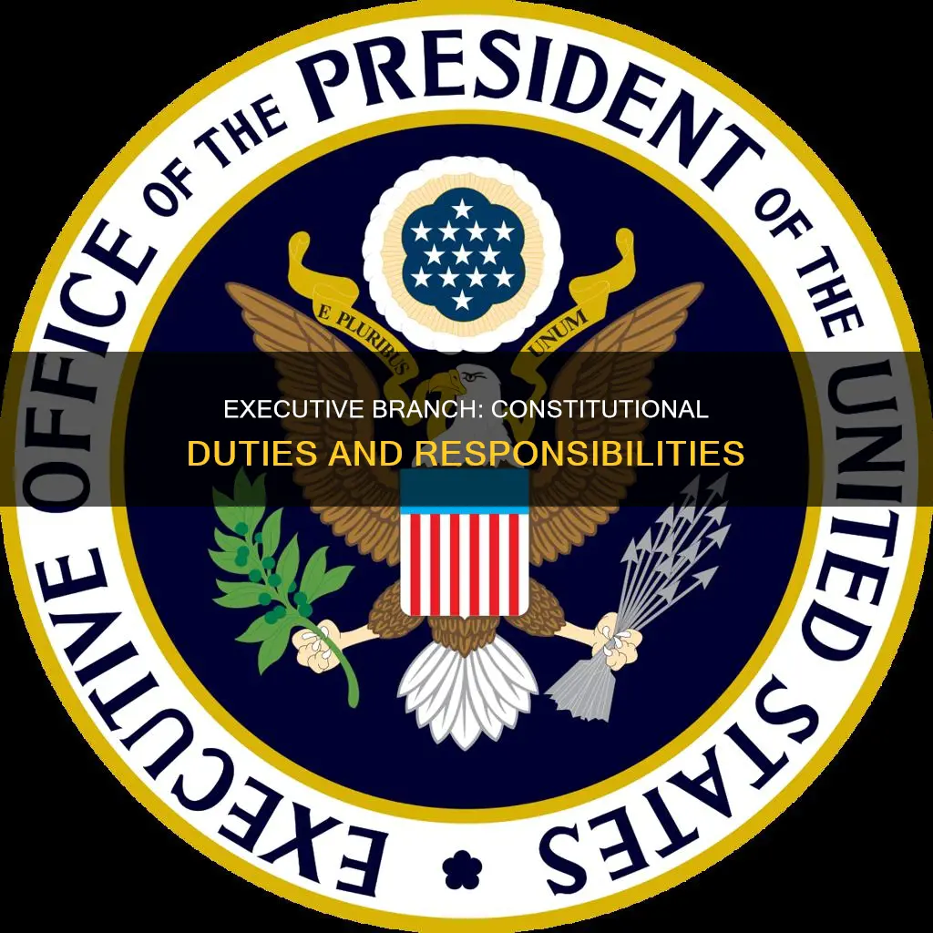 what are the constitutional duties of the executive branch