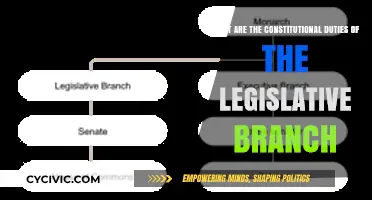 Legislative Branch: Constitutional Duties and Responsibilities