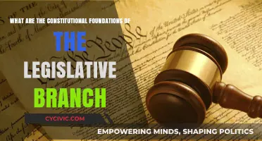 Legislative Branch: Constitutional Roots of Lawmaking