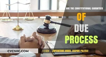 Due Process Rights: Constitutional Guarantees Explained