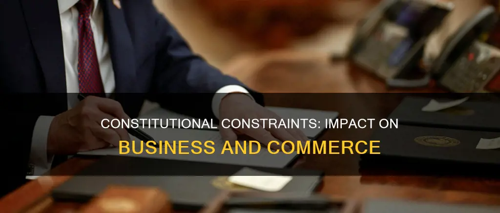 what are the constitutional implications on business exemplified