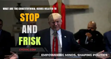 Stop and Frisk: Unconstitutional Intrusions and Excesses