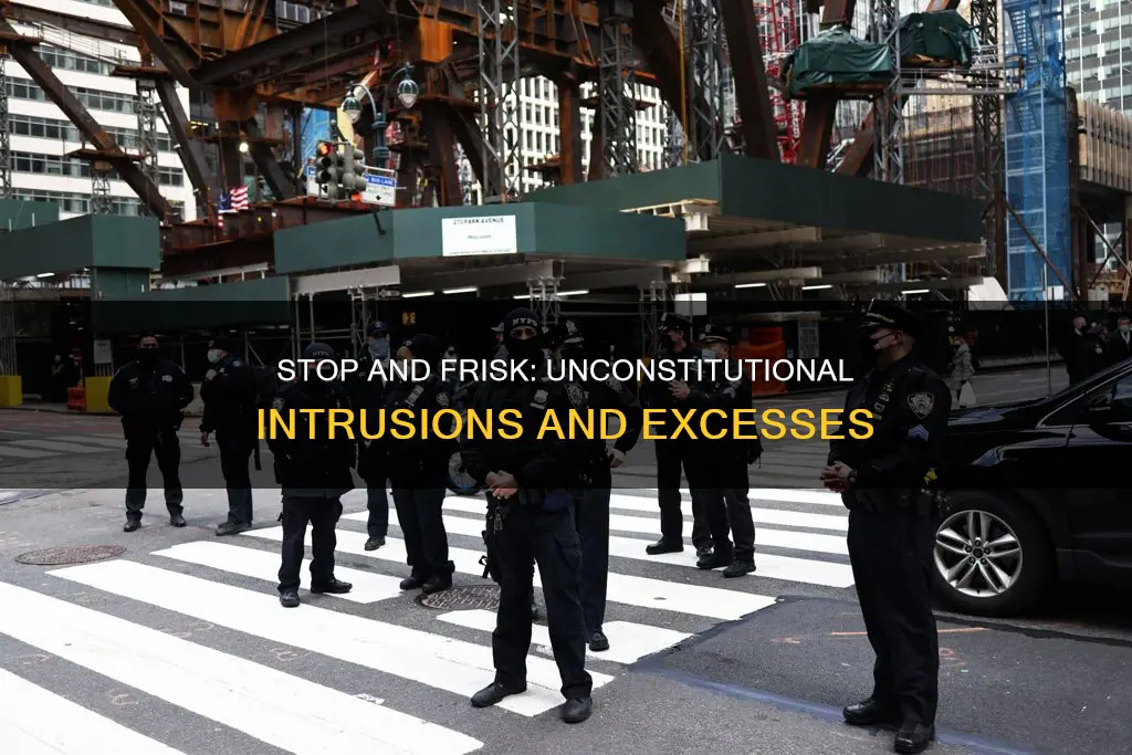 what are the constitutional issues related to stop and frisk