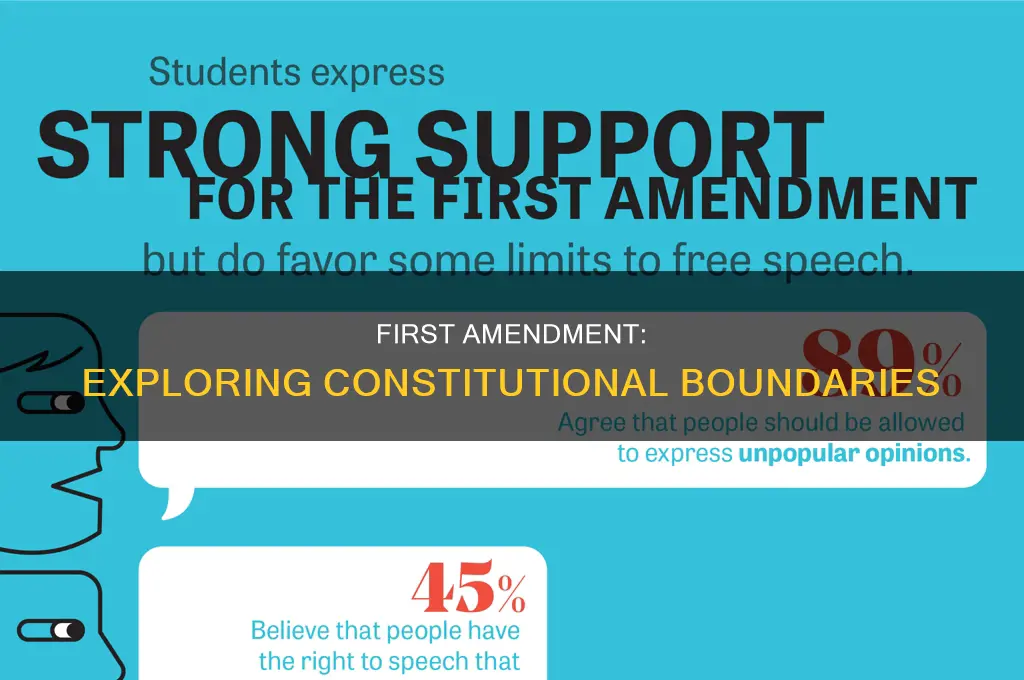 what are the constitutional limits of the first amendment