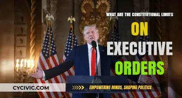 Executive Orders: Constitutional Constraints and Limits Explained