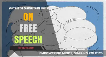 Exploring Constitutional Boundaries of Free Speech