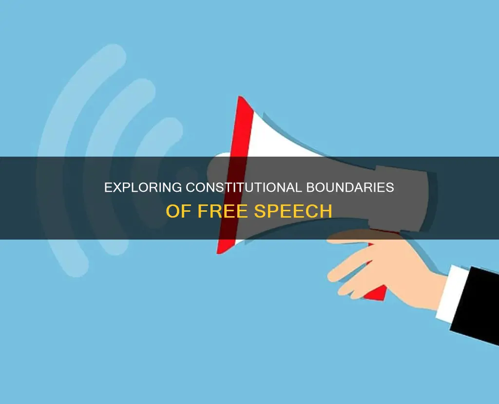 what are the constitutional limits on free speech
