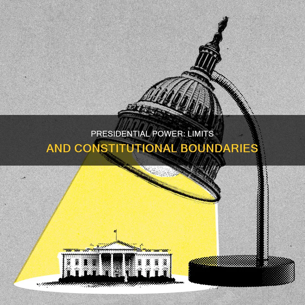 what are the constitutional limits on presidential power