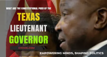Texas Lieutenant Governor: Constitutional Powers Explained
