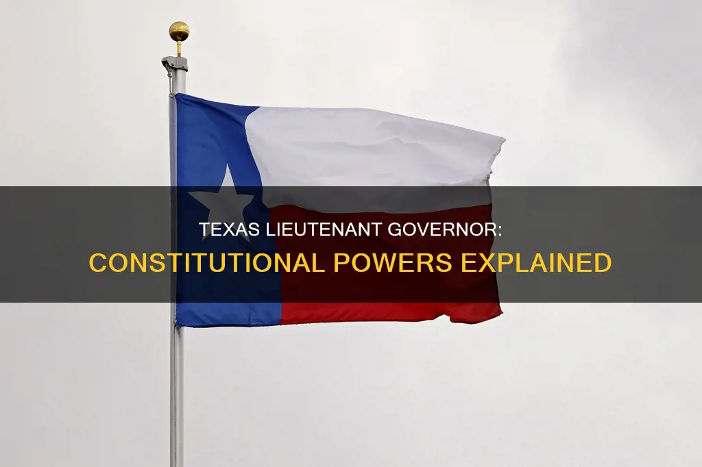 what are the constitutional poer of the texas lieutenant governor