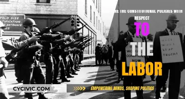 Labor Laws: Constitutional Rights and Policies