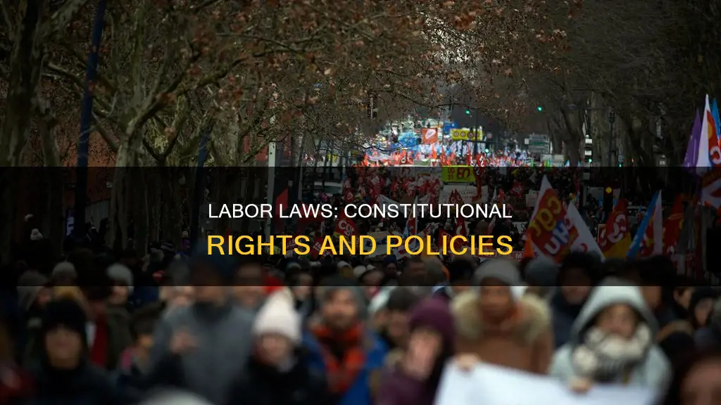 what are the constitutional policies with respect to the labor