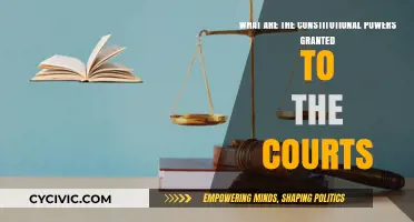 The Courts' Constitutional Powers Explained