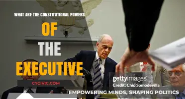 Executive Powers: Constitutional Limits and Scope