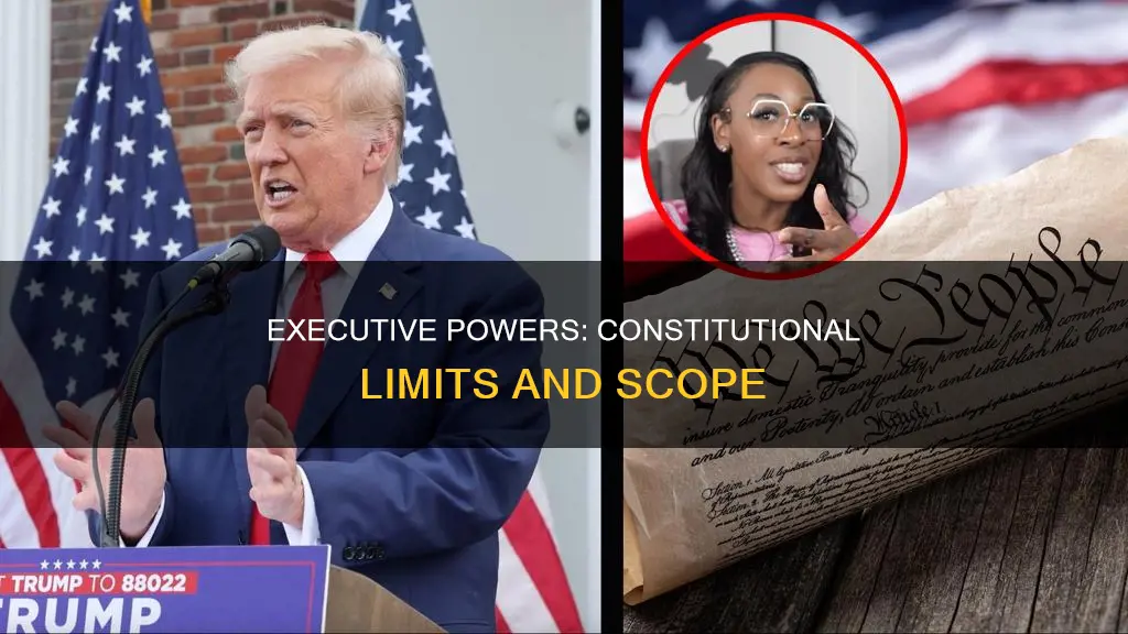 what are the constitutional powers of the executive