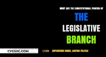 Legislative Branch: Constitutional Powers Explained