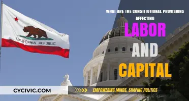 Labor and Capital: Constitutional Constraints