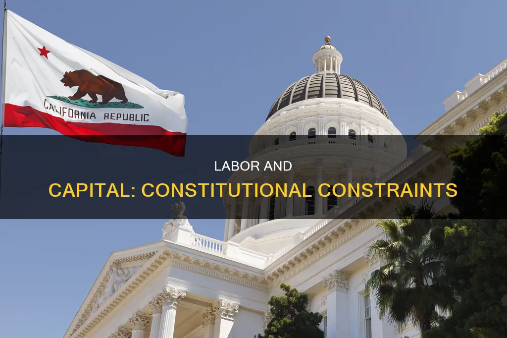 what are the constitutional provisions affecting labor and capital