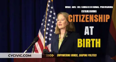 Birthright Citizenship: Constitutional Provisions Explained