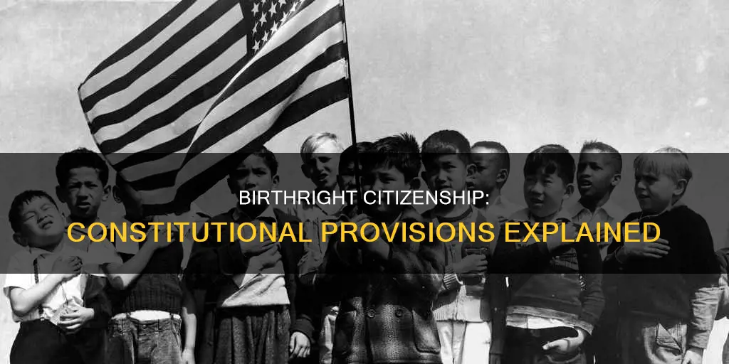 what are the constitutional provisions establishing citizenship at birth