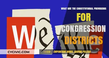 Congressional Districts: Constitutional Framework Explained