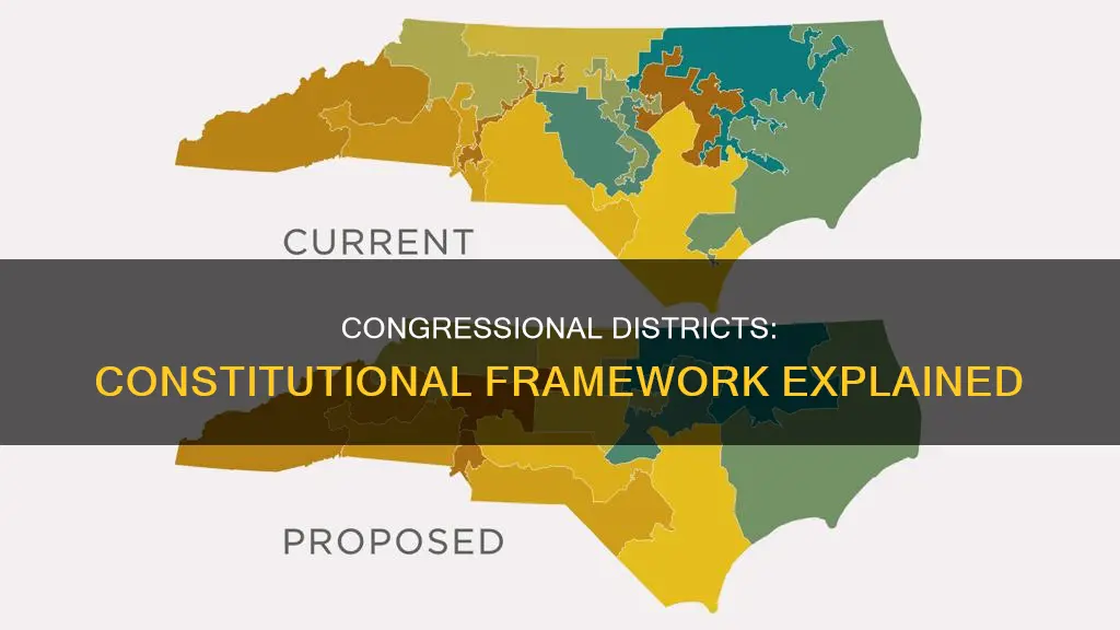 what are the constitutional provisions for congressional districts