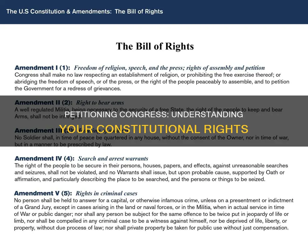 what are the constitutional provisions for petitioning congress