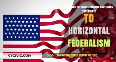Federalism Fundamentals: Exploring Horizontal Constitutional Provisions