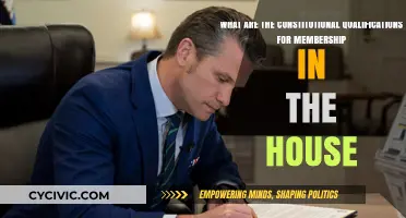Qualifications for House Membership: Constitutional Requirements