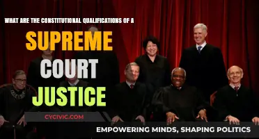 Supreme Court Justice: The Constitutional Qualifications