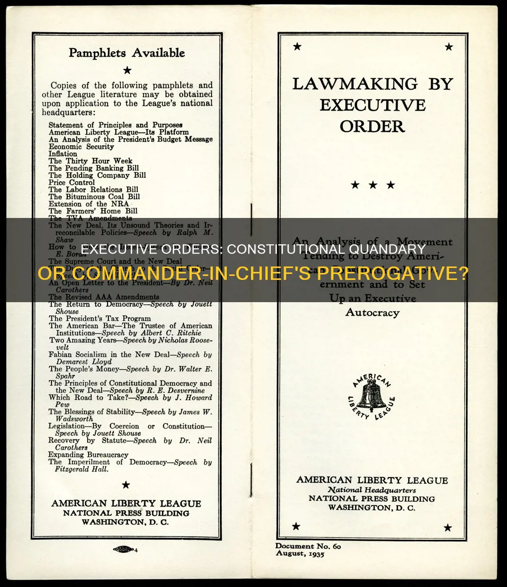 what are the constitutional questions surrounding executive orders