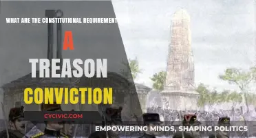 Understanding Treason: Constitutional Requirements for Conviction