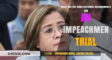 Impeachment Trials: Constitutional Requirements Explained