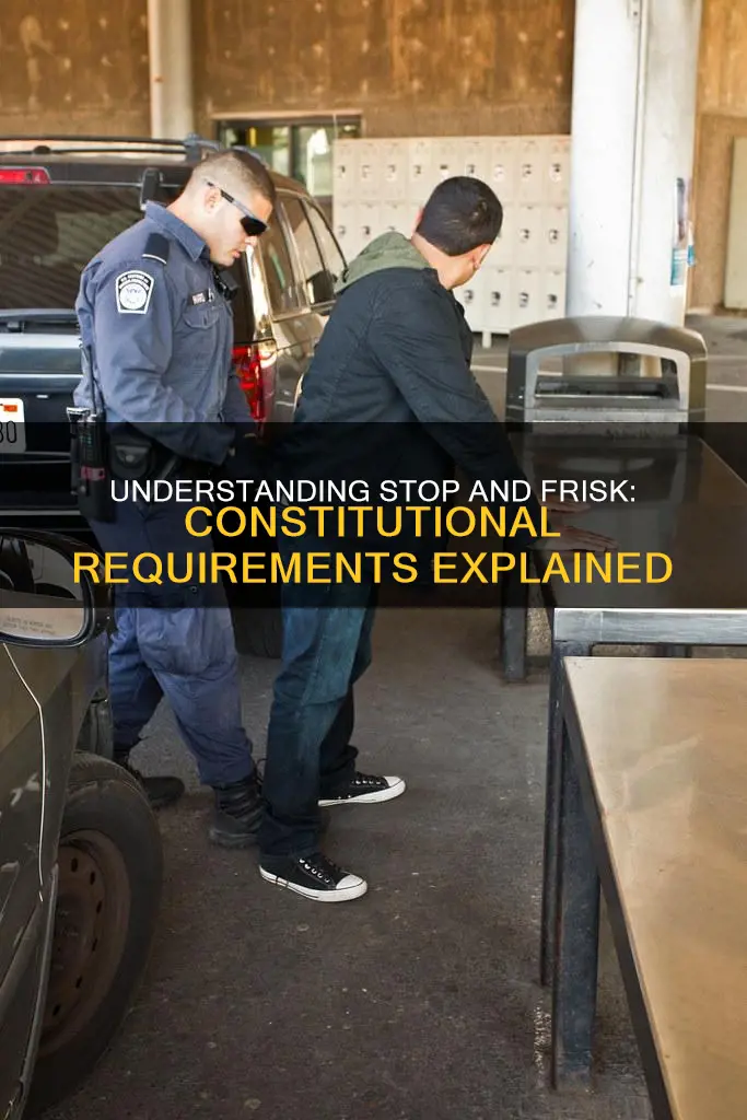 what are the constitutional requirements for stop and frisk searched