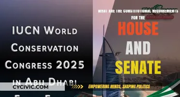 Constitutional Requirements: House and Senate Eligibility