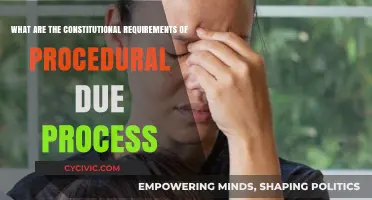 Procedural Due Process: Constitutional Rights and Requirements