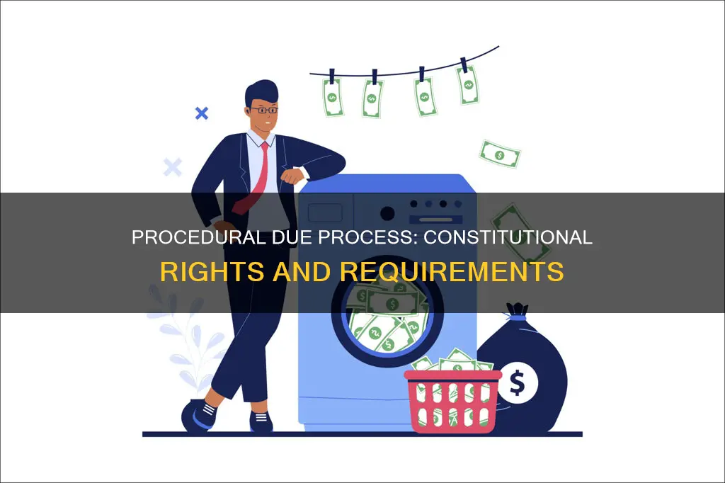 what are the constitutional requirements of procedural due process